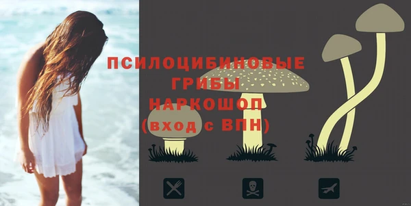 Альфа ПВП Армянск