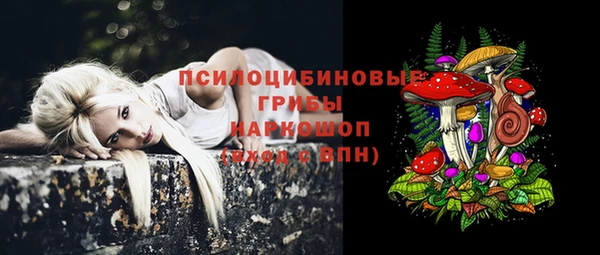 герыч Алексеевка