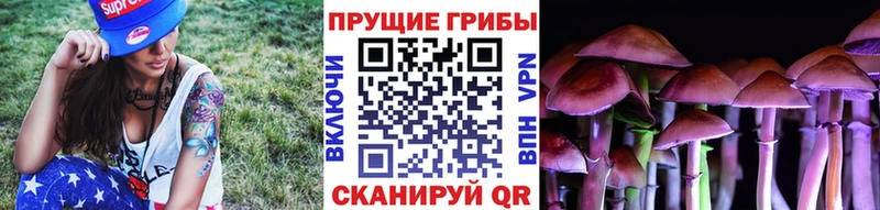 Псилоцибиновые грибы ЛСД  Дзержинск 